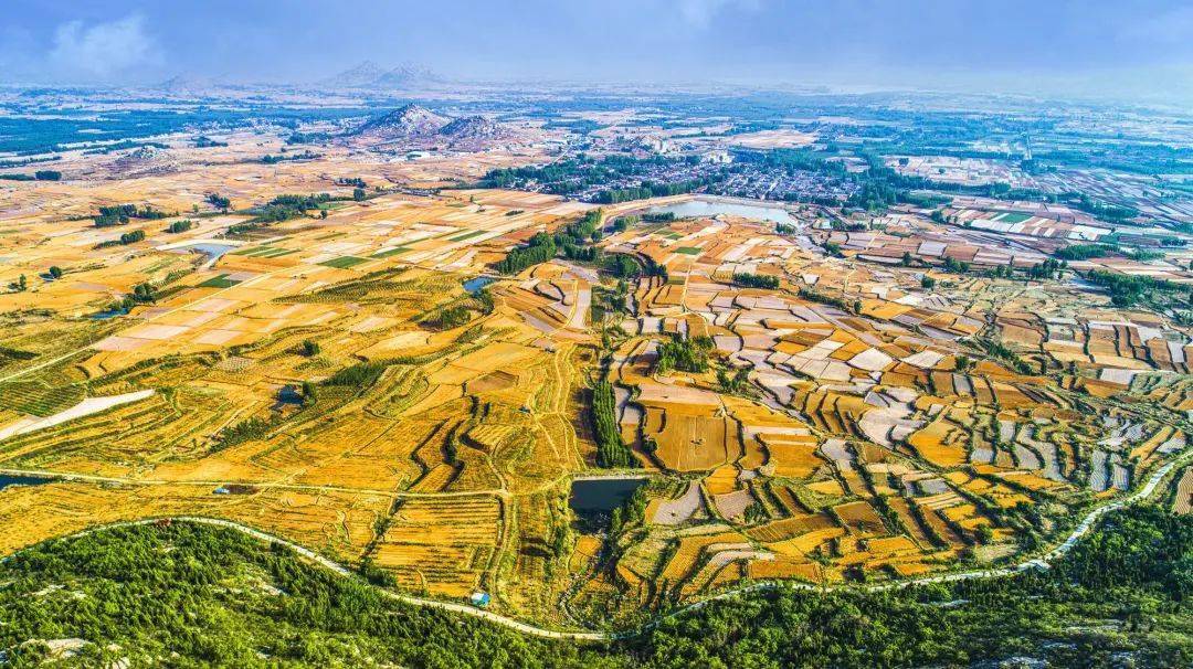 邹城市香城镇:高空视角下的农田之美