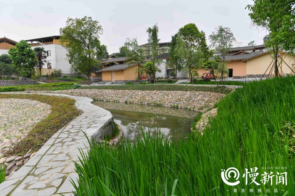 初夏去九龙坡乡野踏青三条精品农旅游玩路线任你选 特色