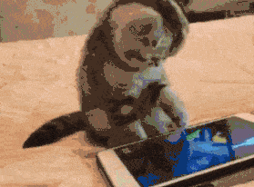 41cd2feaf6e6431d936a8961e5edd8c6.gif