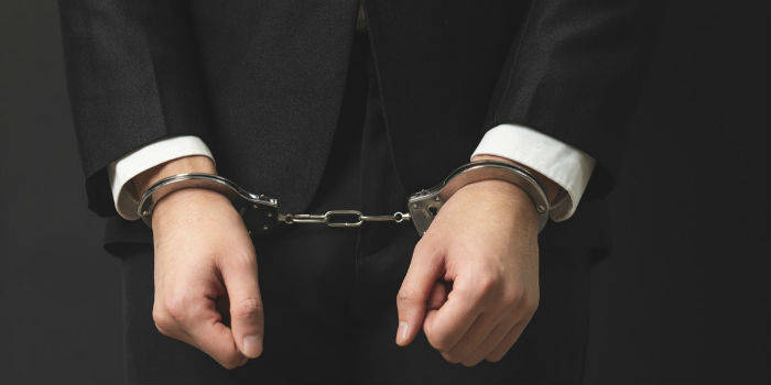 华民股份实控人涉嫌受贿被逮捕 中报高增长低估