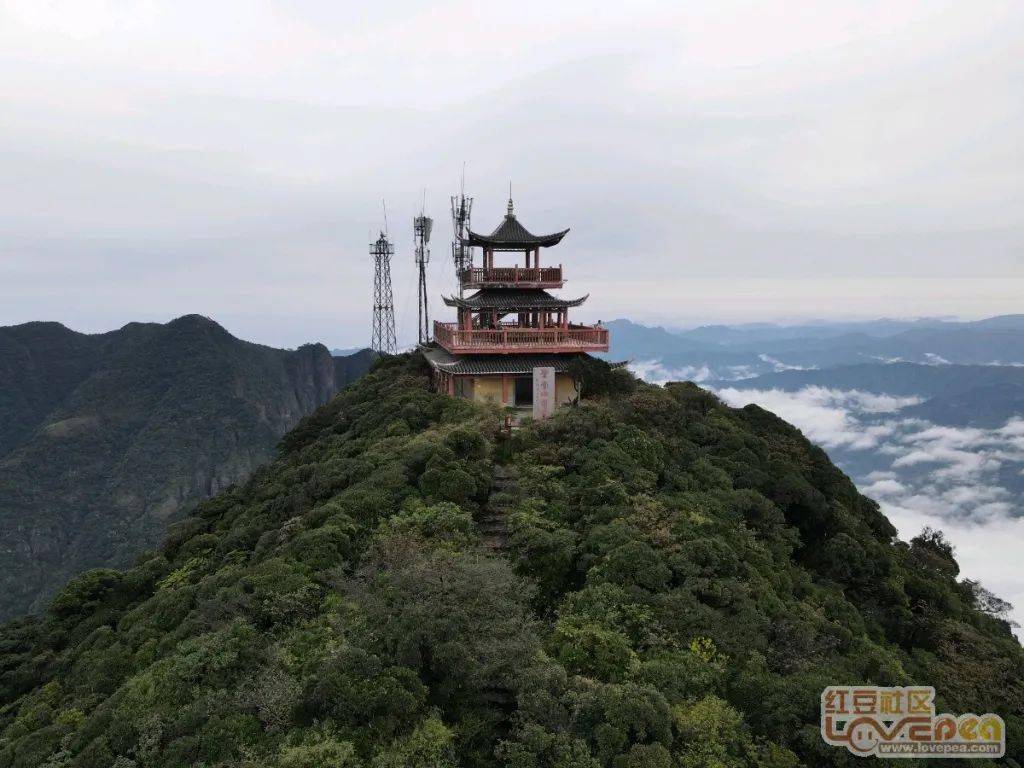 网眼看来宾美丽金秀看圣堂山日出云海赏银杉公园银杉王