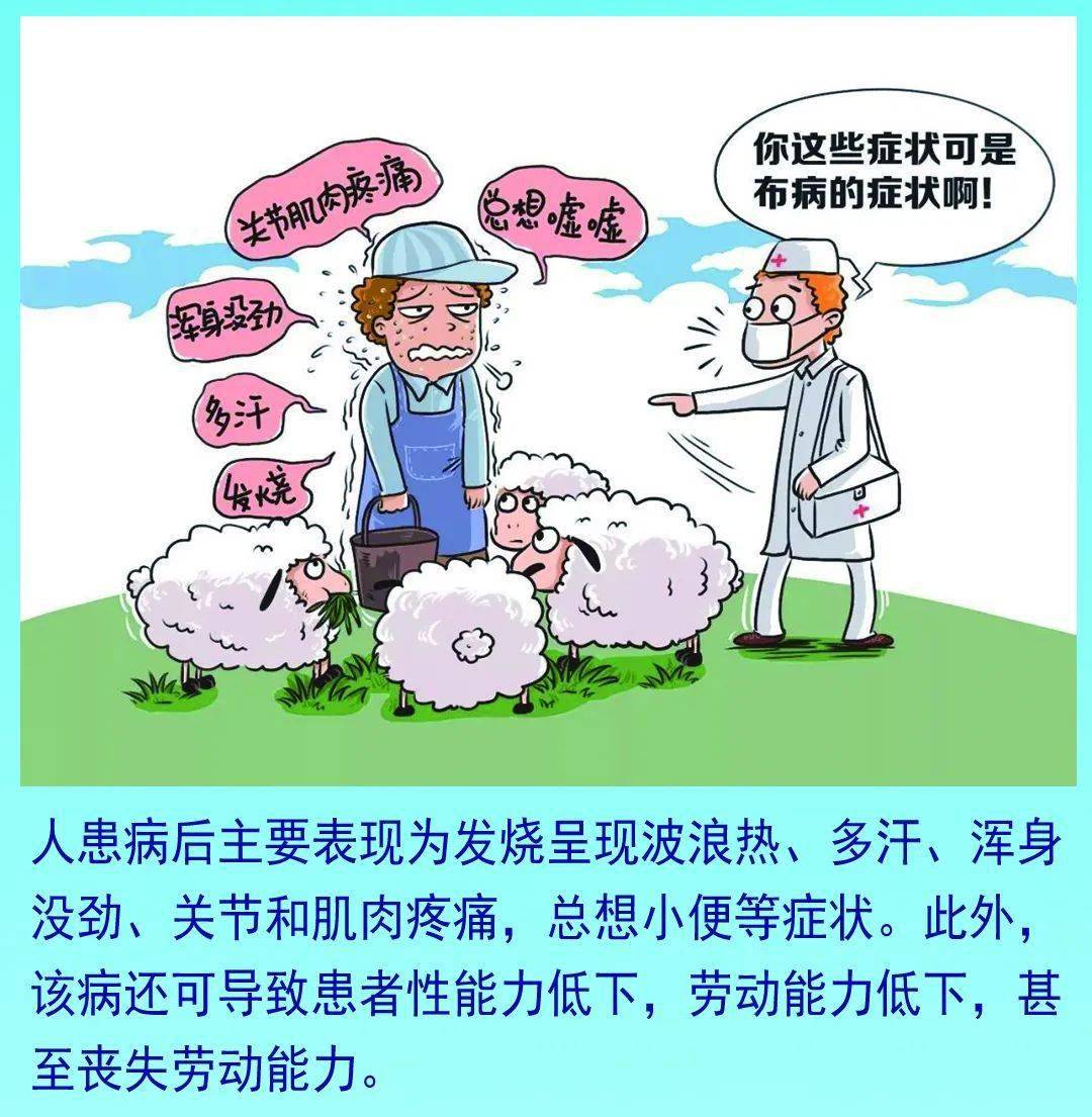 布鲁氏菌病是什么病图片