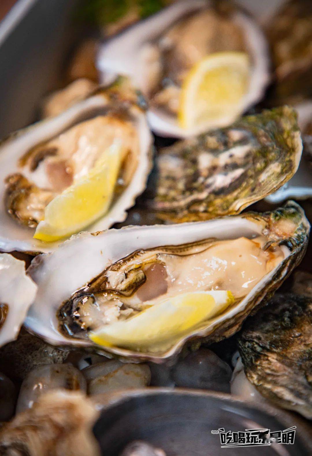 爱尔兰食品局生蚝快闪来了!40元/只的"蚝中爱马仕",99元无限畅吃!_vie