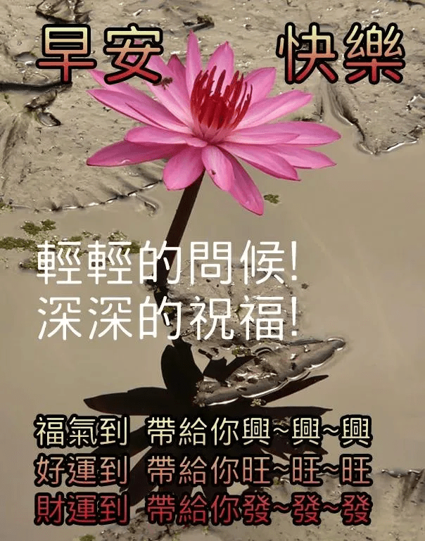 早安吉祥一條短信一份祝福一個一份牽掛祝你快樂每一天