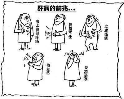 肝区如果有时会隐隐作痛,那就要小心留意了!