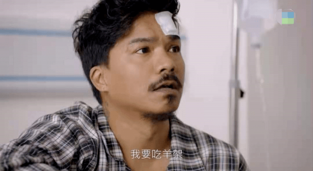 sir(陈展鹏 饰演)意外拘捕了恐怖组织艾凡特的骨干成员阿拉维(陈彼得