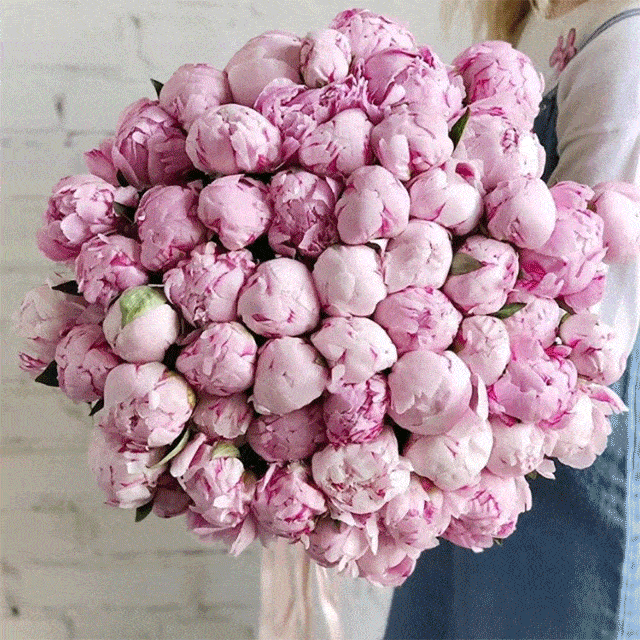 其中以 进口沙拉尤其出众,它的 朵型大,气味香,淡淡的粉色很清雅,放在