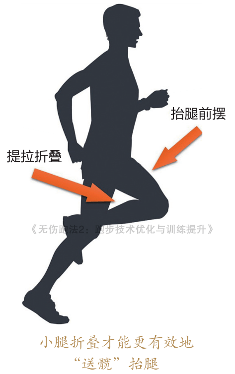 高手都在讨论的 送髋 你到底了解吗 这篇通通给你讲清楚 骨盆