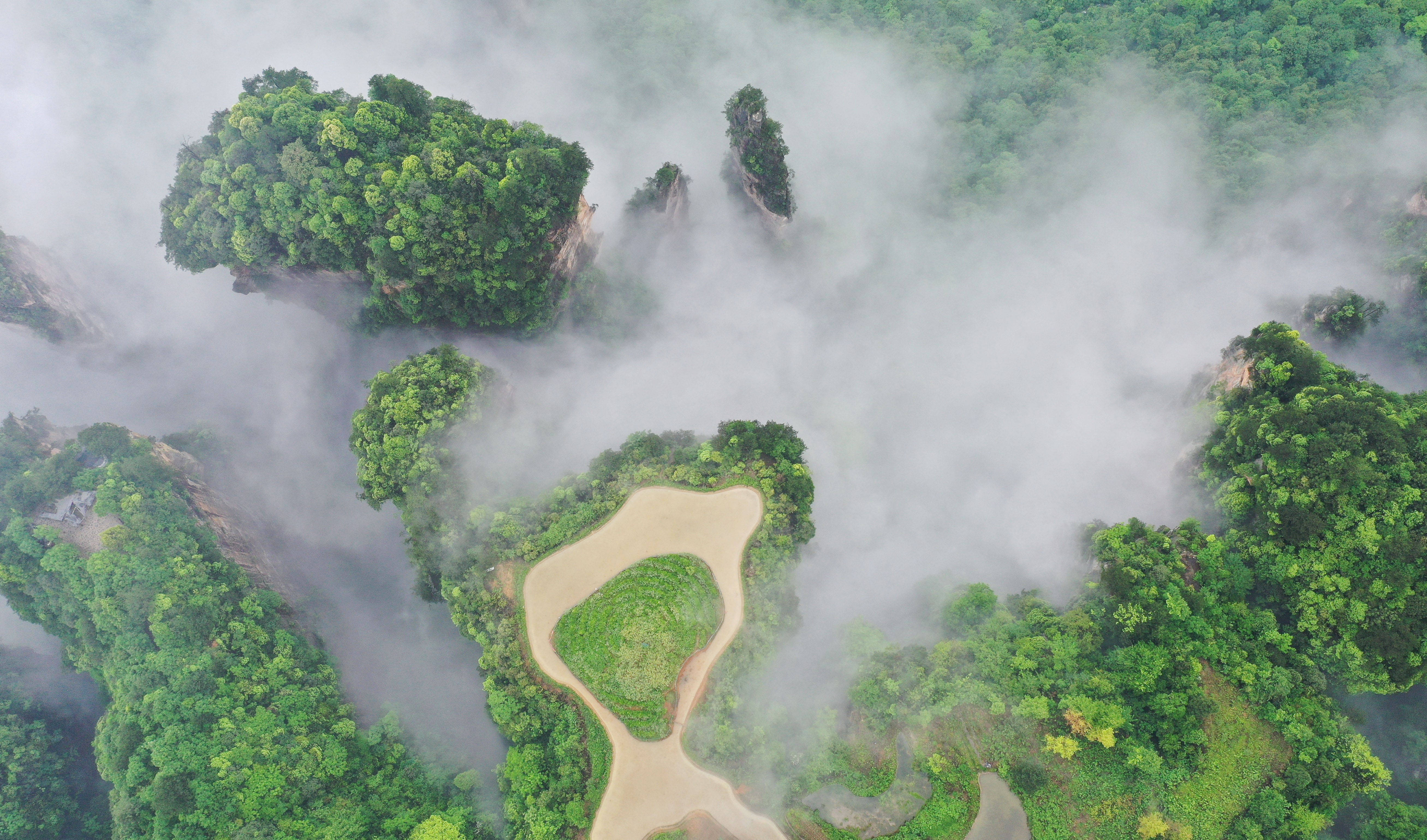 这是5月14日拍摄的张家界武陵源景区峰林云海景观(无人机照片) 