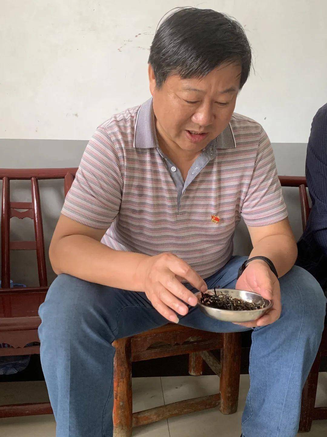 龙泰星一行赴楠木河村调研野茶产业