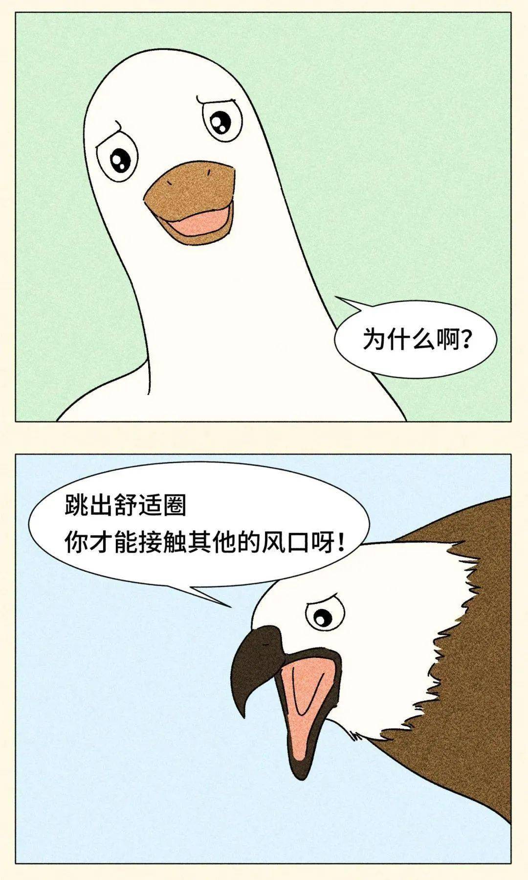 72411c49e57c4dee99ac32514dfb755a.jpeg
