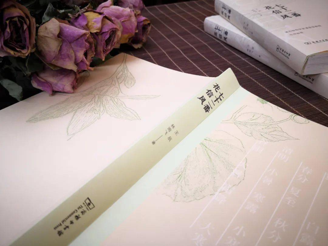 立夏先看什么花儿 | 一本书承包你的全年赏花需求