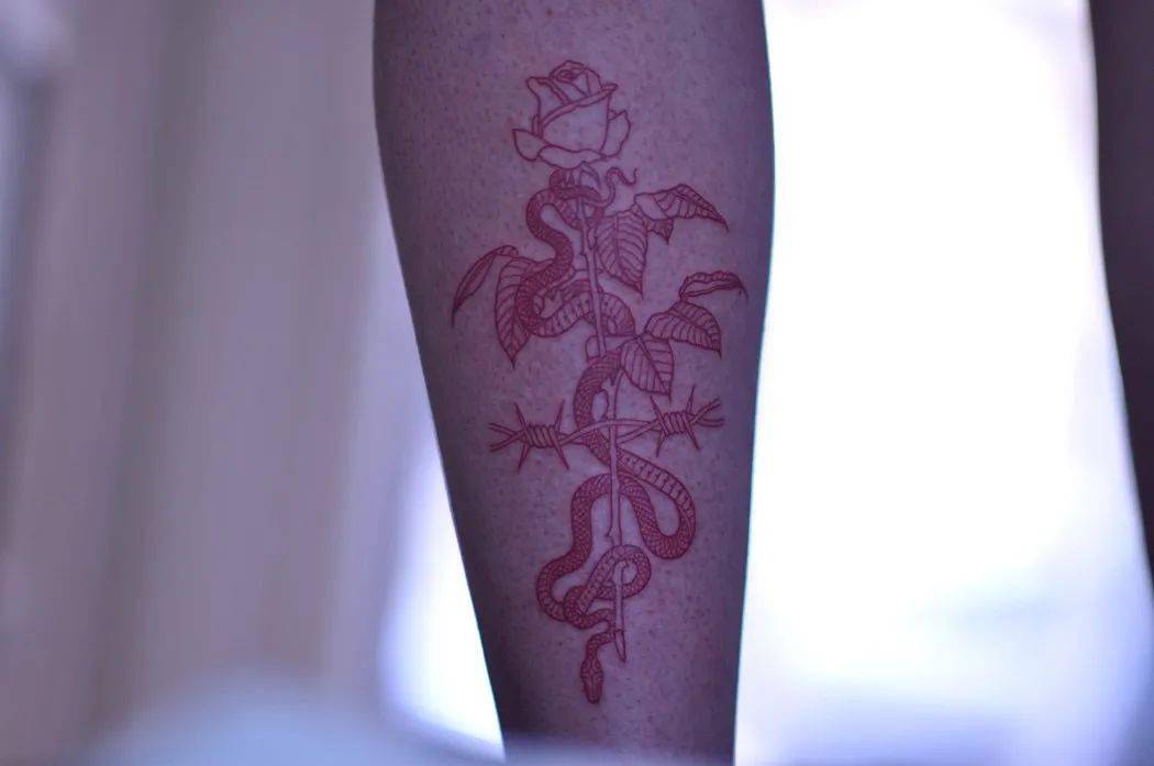 梦境的迷雾，探索为何频繁梦见蛇的深层含义——以为什么最近总是梦见蛇，这个月已经梦到第三次了，昨晚梦到一条莽但不为线索