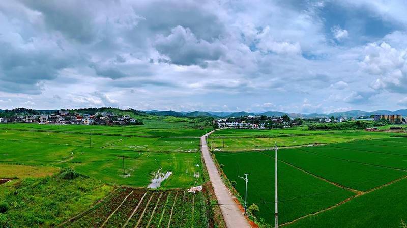 再见马田祝福马田