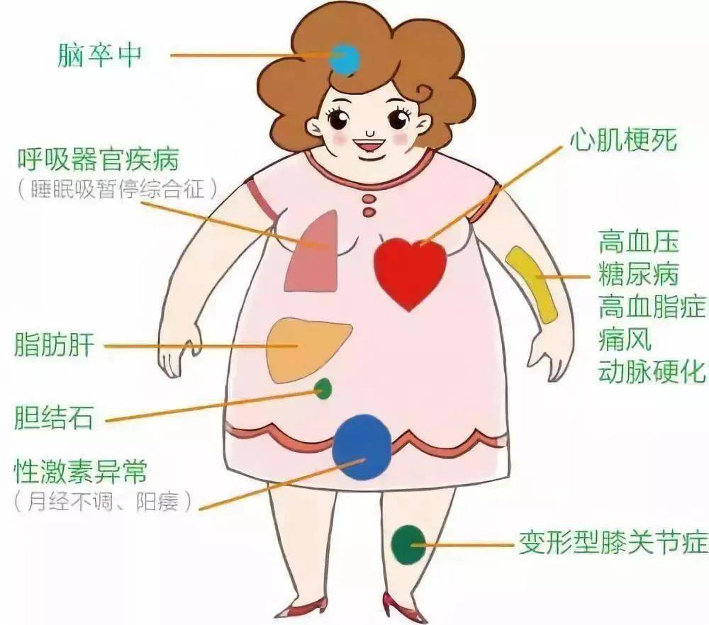 2021年高校女生平均体重出炉 你达标了吗 脂肪