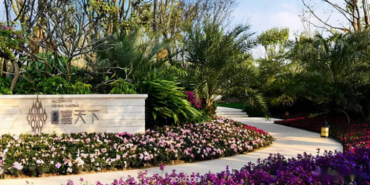 这样做软景植物配置甲方爱死你