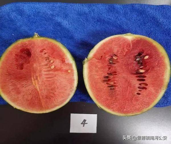 西瓜加盐真的甜吗 6553b0a050824e08b08004091f8dec0a.jpeg