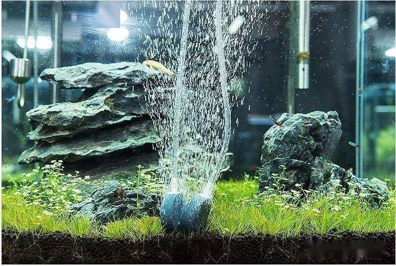 鱼缸氧气泵必须24小时开着吗看看这个