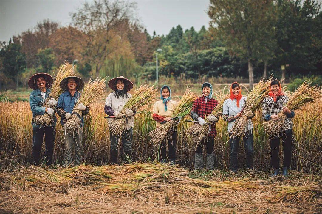 石家庄农耕时代图片图片