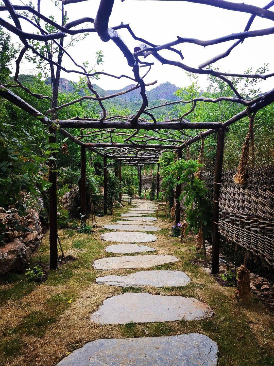 亲子新乐园幽岚山下童话森林试营业免费开放