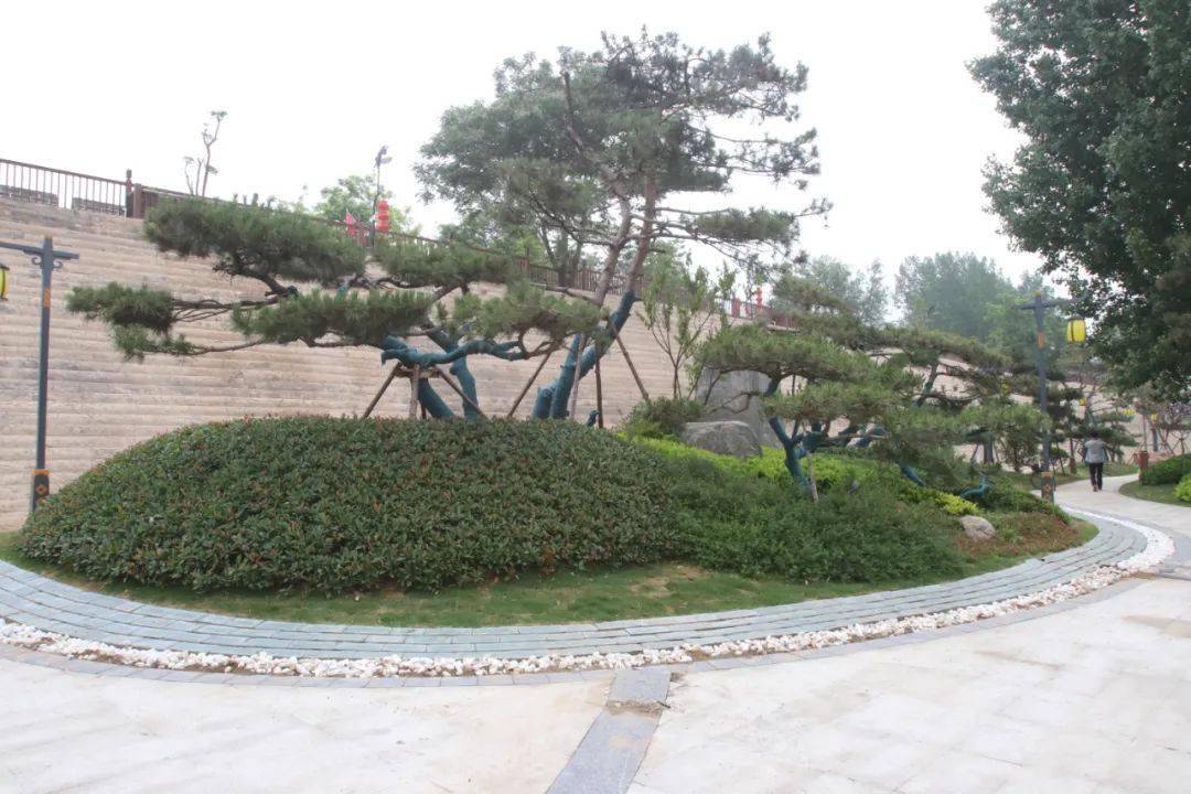 处处景——"市民考察团2021·探访为民实事"首期考察活动纪实_绿化