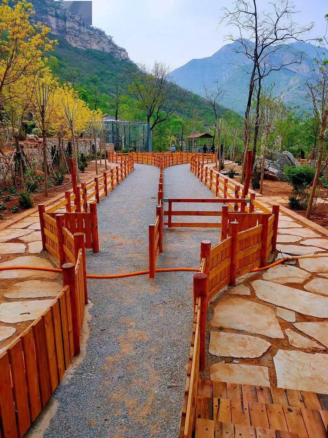 亲子新乐园幽岚山下童话森林试营业免费开放