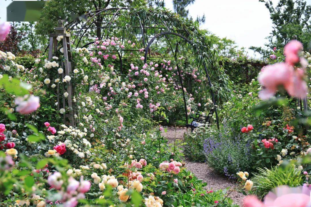 星球花园合肥市人大代表沈保山的创业史志