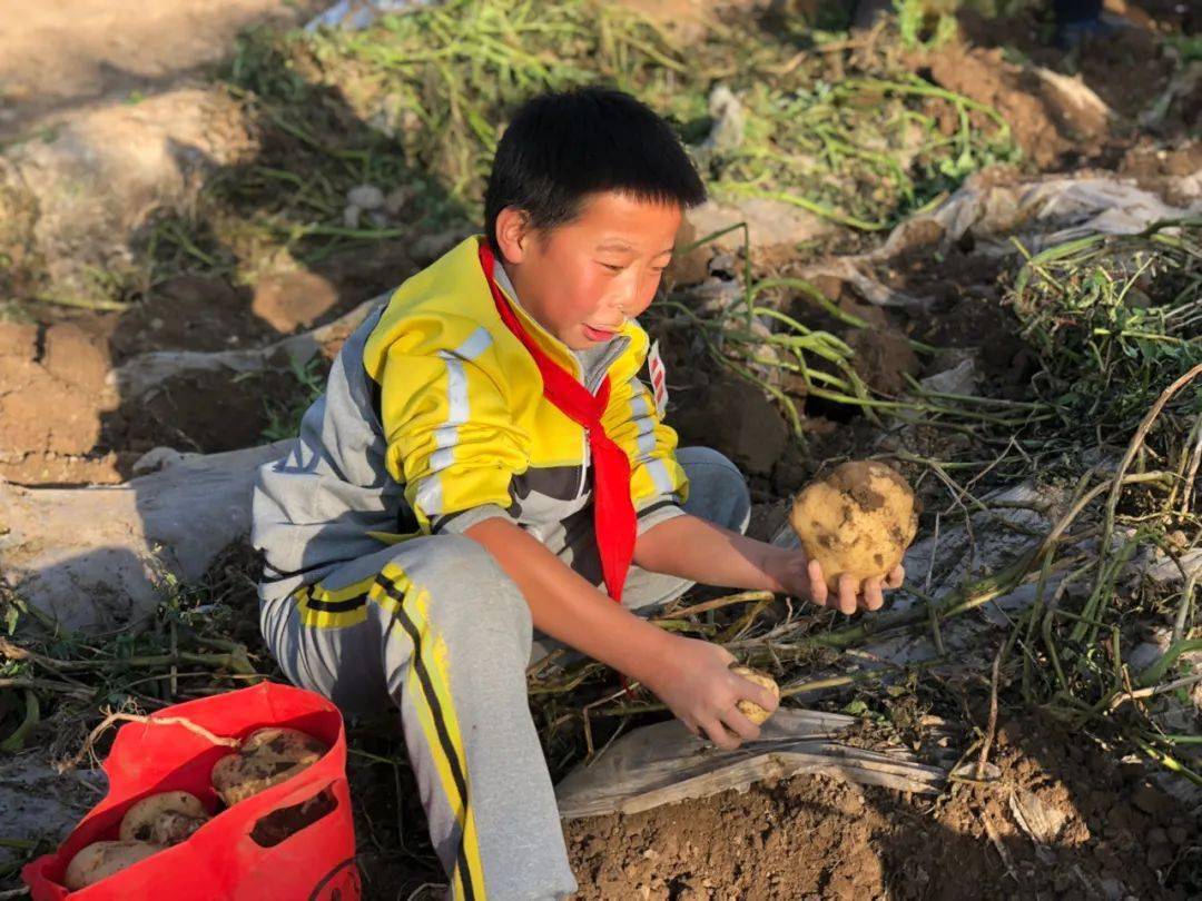 西宁市总寨镇逸夫小学图片