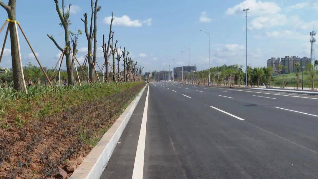 已完成工程量95罗定环市南路建设进入收尾阶段