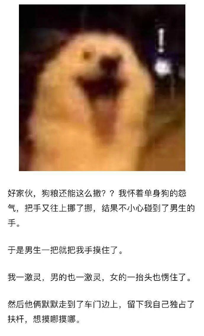ef66a1bc86c94974a8772d65a3d552a3.jpeg
