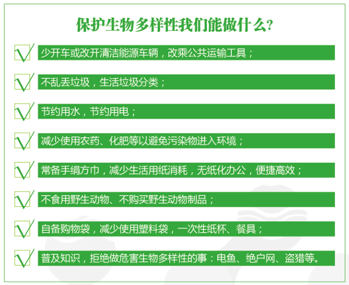 2021年一月新番人气女角色