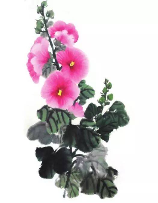 国画教程 小写意蜀葵花的画法 这样画更美 花瓣