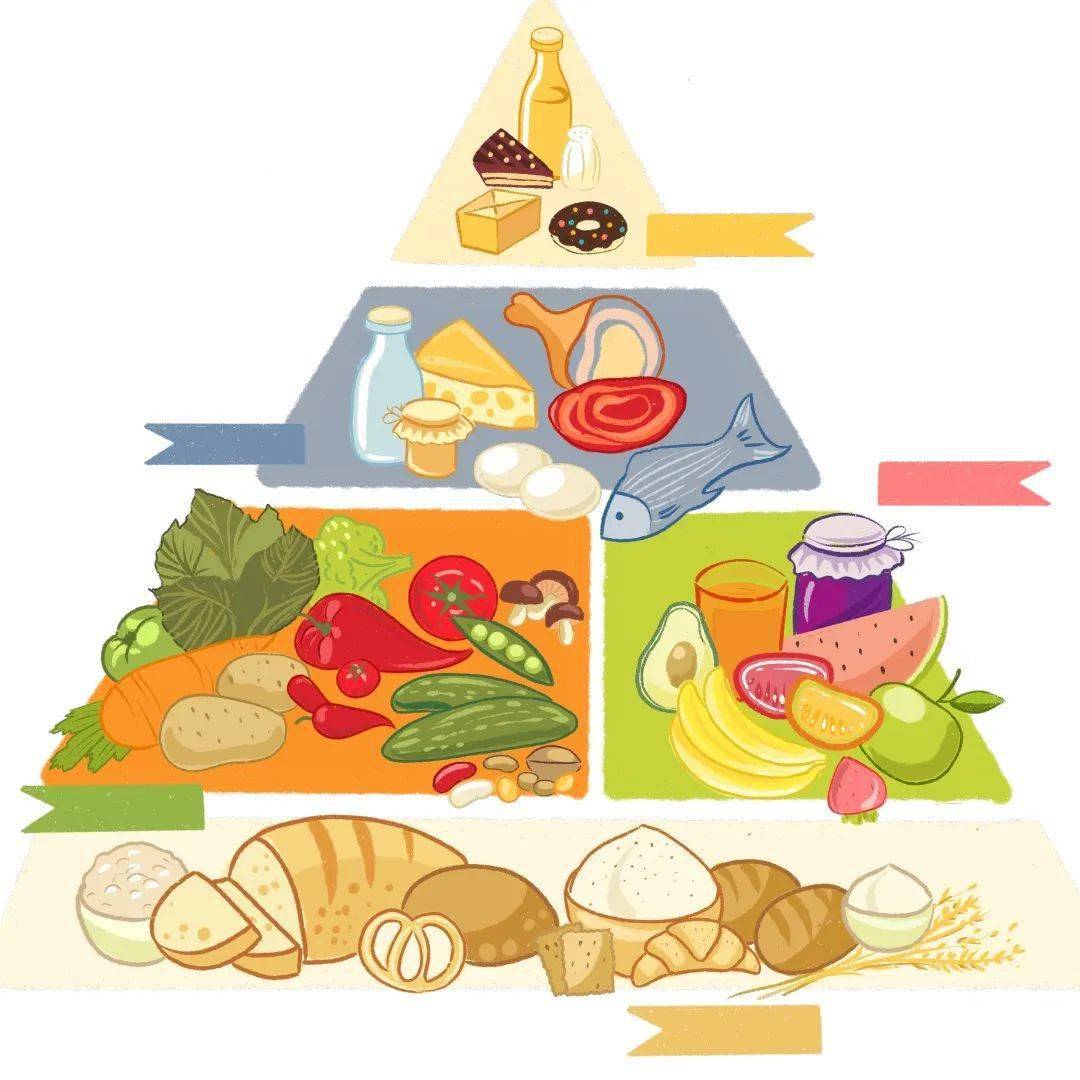 注意营养均衡,改善免疫除了在食材购买,储存,加工和清洁上要注意外