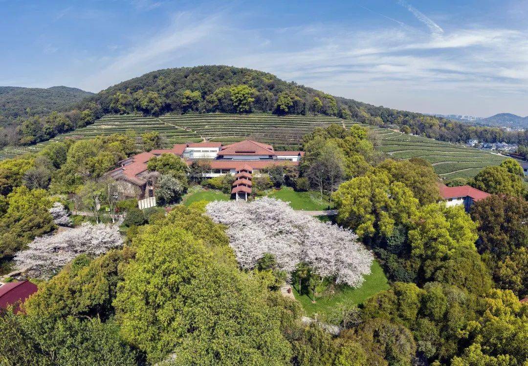 中国茶叶博物馆2021年中国好茶征集活动开始啦