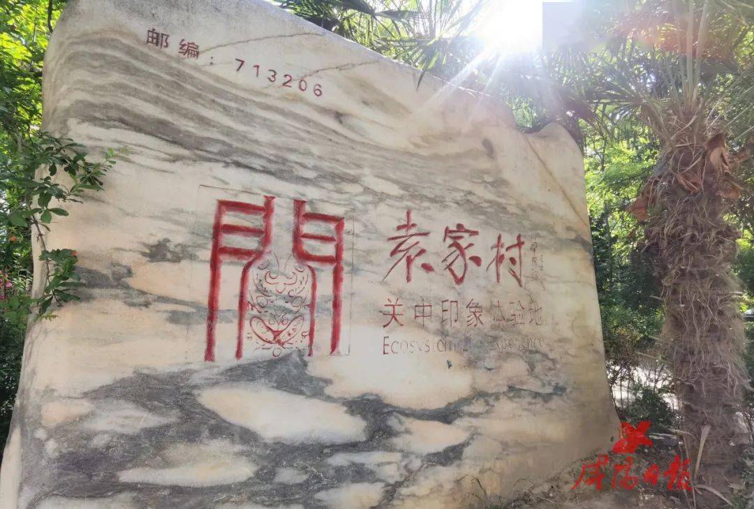 陕西日报全媒体行动走进咸阳咸阳这个村真牛