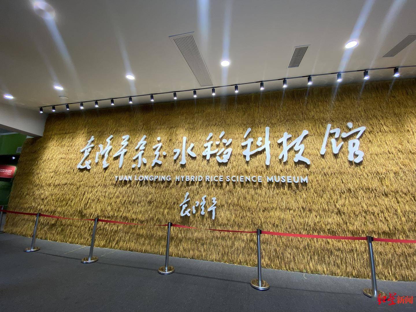 两梦一愿国家杂交水稻工程技术研究中心成都分中心将继续传承袁隆平