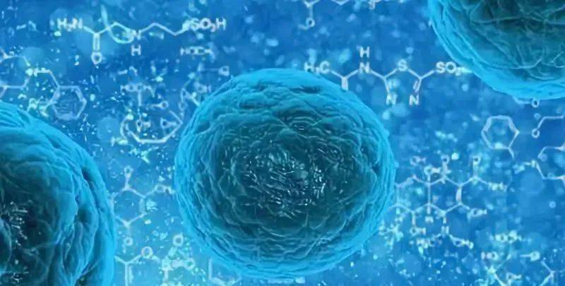 干细胞治疗丨让衰老慢下来让慢病好起来