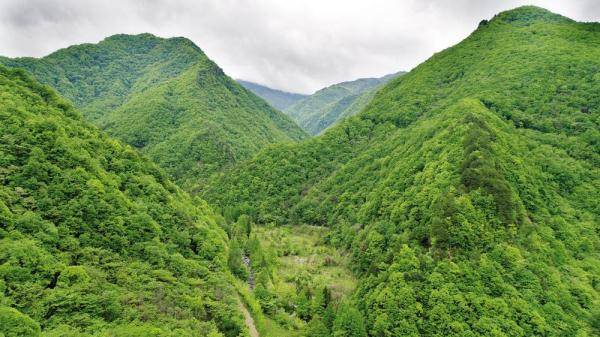 山头人口_博山区山头街道:“四举措”做好全国1%人口抽样工作