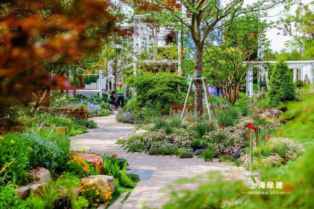 探索花博会上海园源梦园实景图来了六大展区各具特色