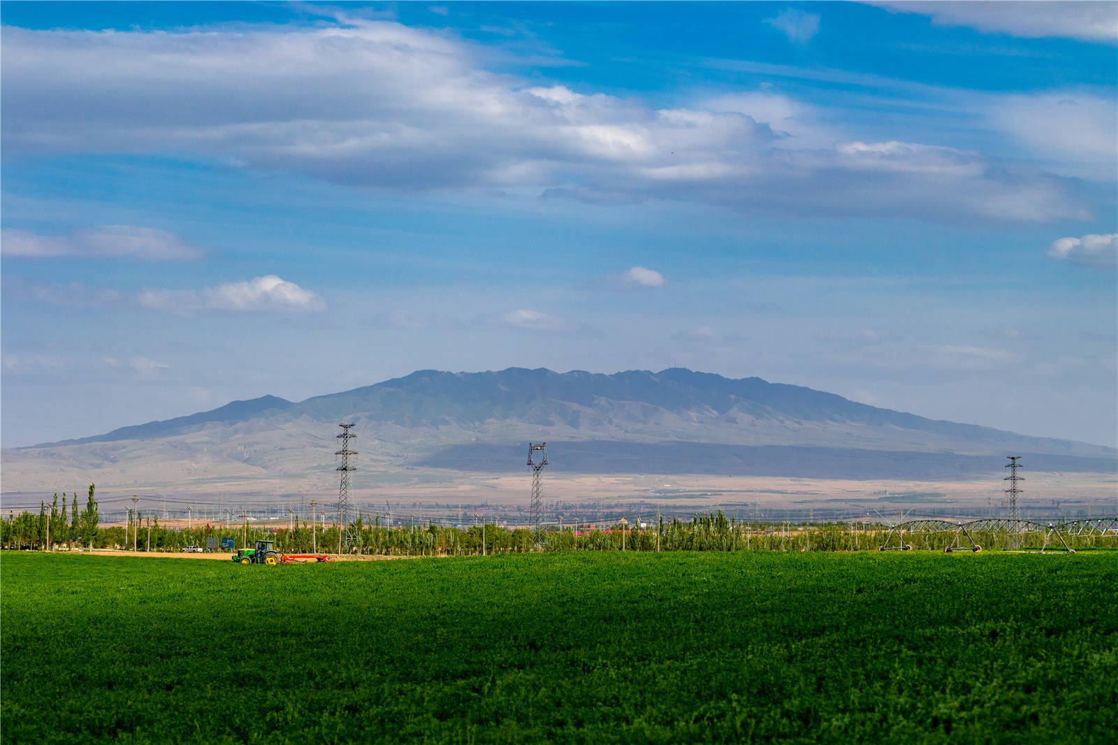 宁夏红寺堡高效节水苜蓿开镰收割_农业