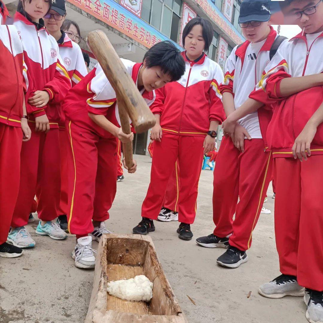 知行合一,如火青春——记初二年级农训实践活动