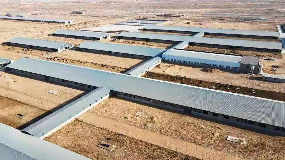 在第11牧场——赛科星1.