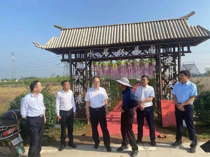 方勇深入部分乡镇调研_望江