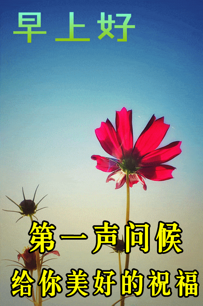 680_1024竖版 竖屏gif 动态图 动图