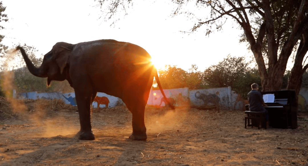 嘶嘶-嘶嘶响- f5871963d86544df88c3234199eb109f.png