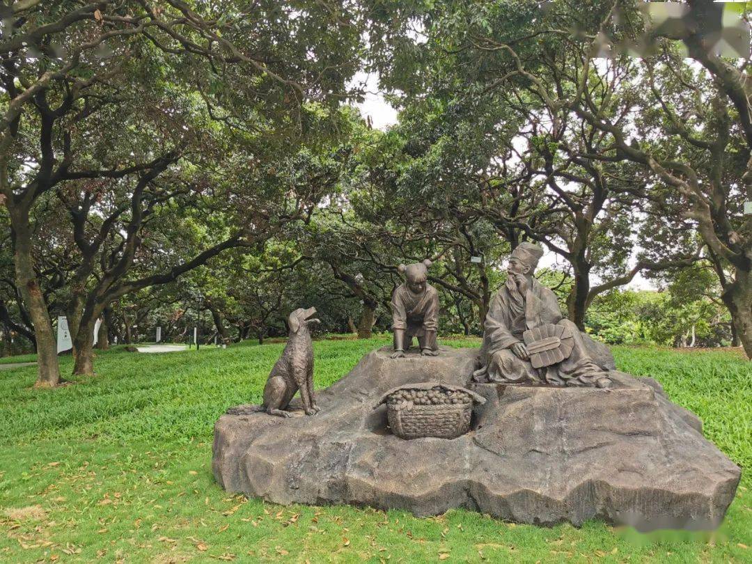 待到荔枝成熟日正是乡村振兴时