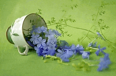 8dcba270e5bf4e8d9978ec5d51543051.gif
