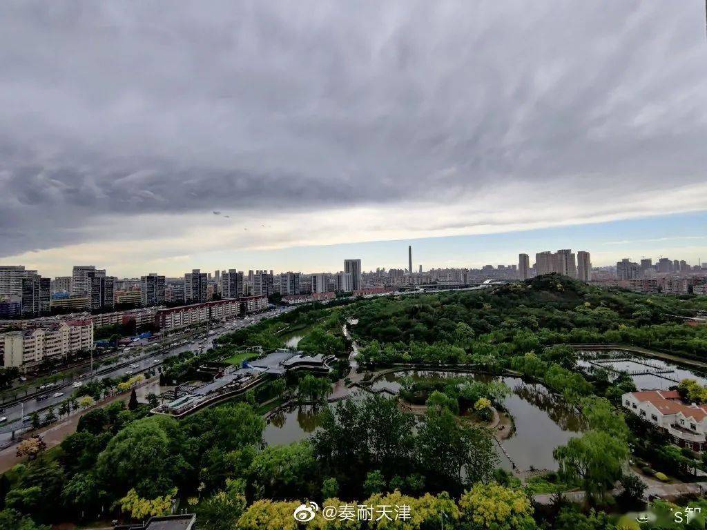 武清天气大树连根拔起这场雨太猛了明天冷空气又来
