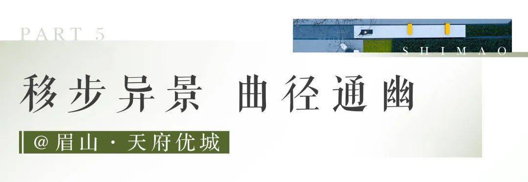 文章配图-78