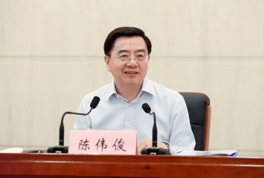 陈伟俊:把未来乡村打造成乡里人的美好家园,城里人的向往乐园